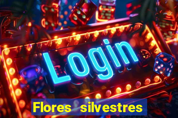 Flores silvestres brasileiras brasileiras flores silvestres nomes e imagens